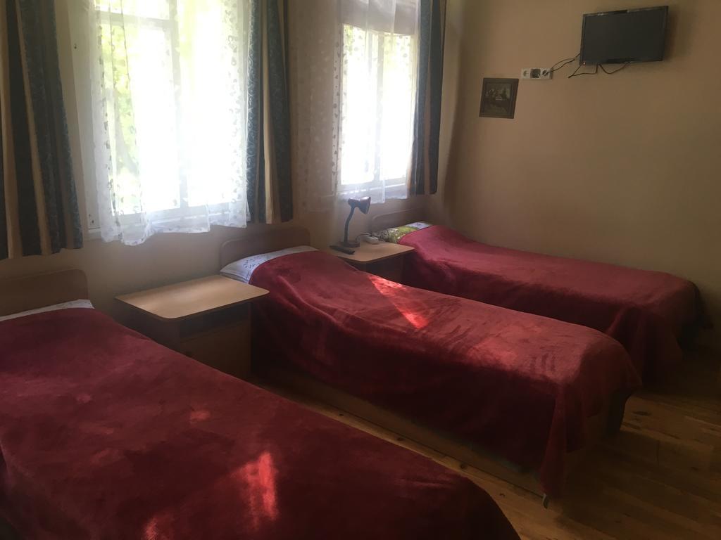 Parko Vila Druskininkai Bagian luar foto